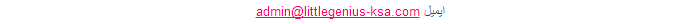 Email: admin@littlegenius-ksa.com