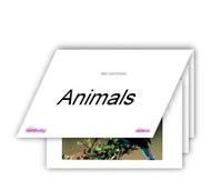 Flash Cards