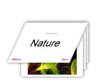 Flash Cards