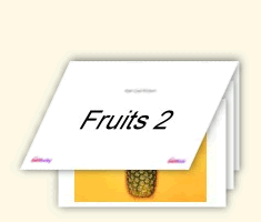 Flash Cards